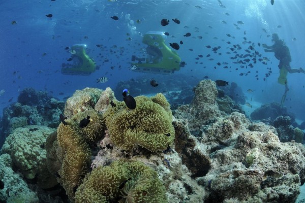 Ausflug Aquasafari Bora Bora - Scuba Dive - Tahiti