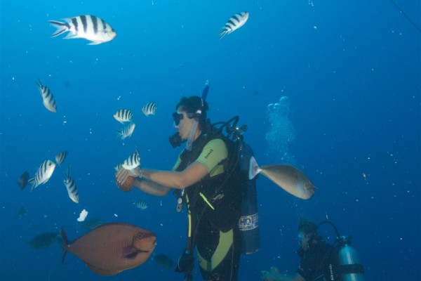 Tauchen Bubbles Below Aitutaki - Taucher - Cook Inseln