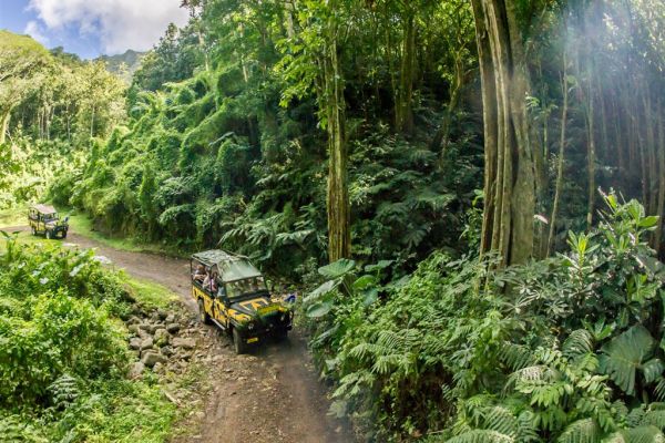 Ausflug Raro Safari Tour Rarotonga - Jeep im Regenwald - Cook Inseln