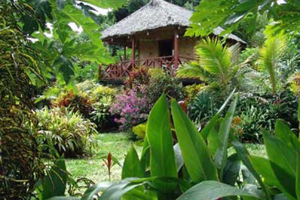 Hotel Tanna Evergreen Tanna - Gartenbungalow - Vanuatu