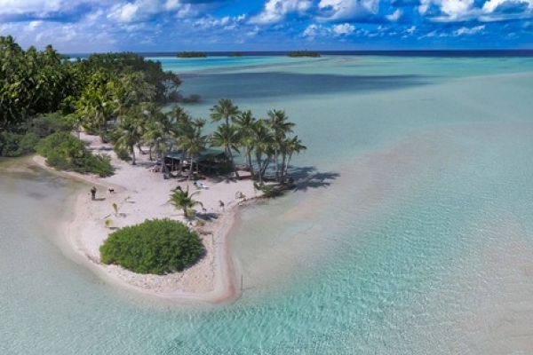 Ausflug Die Blaue Lagune, Seevögel und Rosé de Tahiti Rangiroa - Lagune - Tahiti