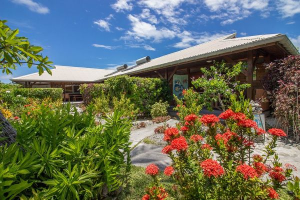 Pension Bounty Rangiroa - Garten - Tahiti