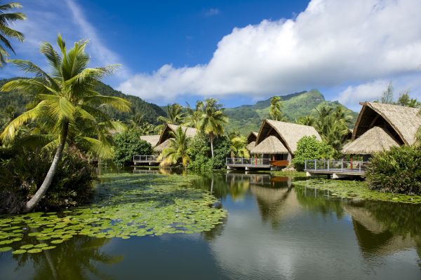 Hotel Maitai Lapita Village Huahine - Premium Lake Bungalows - Tahiti