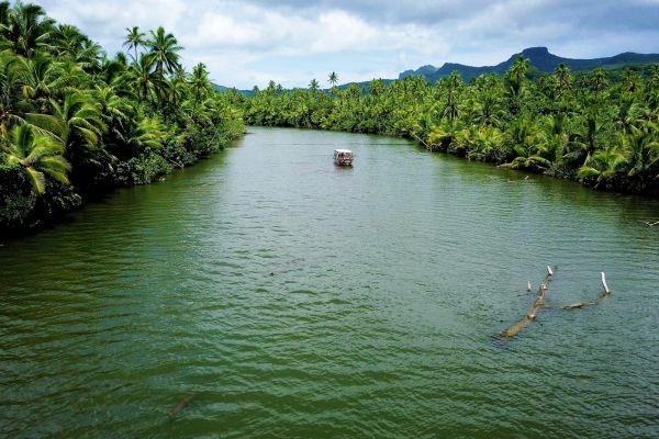 Raiatea Ausflug Bootstour, Faaroa River, Marae Taputapuatea - Fluss - Tahiti