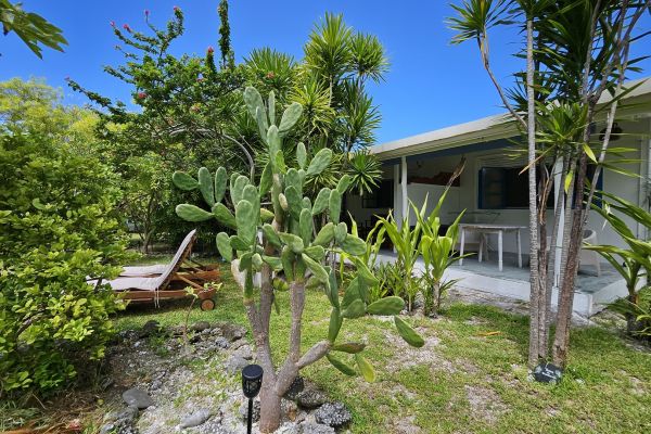 Pension Moana Breeze Eco Lodge Rangiroa - Bungalow - Tahiti