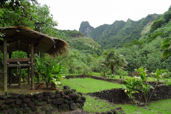 Tahiti Ausflug Geländewagensafari - Papenoo-Tal - Tahiti