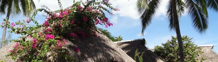 Hotel Hibiscus Moorea - Gartenbungalow - Tahiti