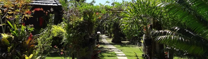 Pension Rurutu Le Manotel Austal - Garten - Tahiti