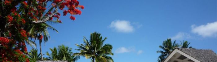 Hotel Little Polynesian Rarotonga - Anlage - Cook Inseln