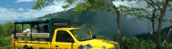 Ausflug Safari im Geländewagen Moorea - Jeep - Tahiti