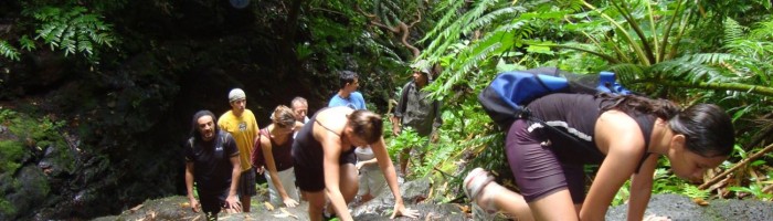 Ausflug Wanderung zu den Wasserfällen Raiatea - wandern - Tahiti