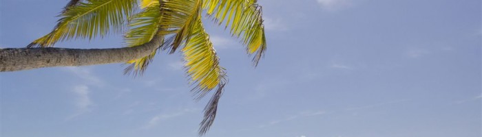 Ausflug Vaka Lagunenkreuzfahrt Aitutaki - Schiff - Cook Inseln