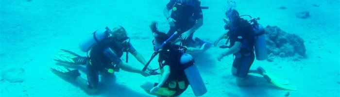 Ausflug Pacific Divers Rarotonga - Tauchgruppe - Cook Inseln