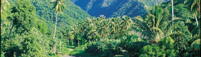 Ausflug Tropical Wonders Tahiti - Landschaft Tahiti - Französisch Polynesien