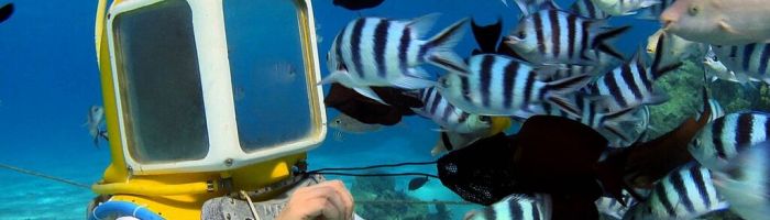 Ausflug Aquasafari Bora Bora - Helmet Dive - Tahiti