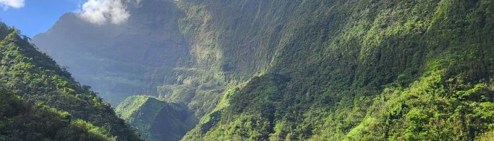 Ausflug Tahiti Discovery Geländewagensafari - Papenoo-Tal - Tahiti