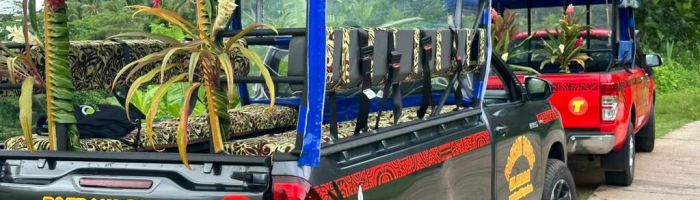 Ausflug Geländewagensafari auf Tahaa - Geländewagen - Tahiti