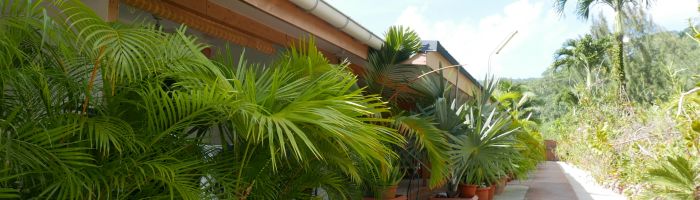 Pension Fare Ara Huahine - Eingang - Tahiti