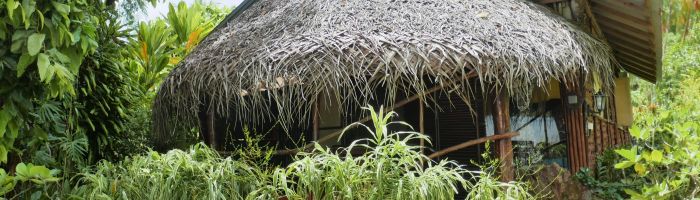 Pension Tupuna Huahine - Bungalow - Tahiti