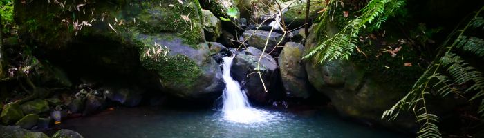 Moorea Ausflug - Wasserfall von Afareaitu - Tahiti