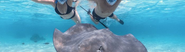 Moorea Ausflug Lagune mit Motu Picknick - Stachelrochen - Tahiti