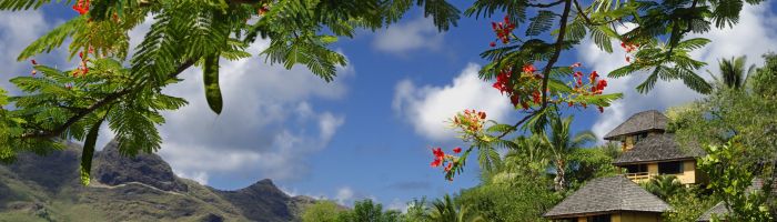 Hotel Le Nuku Hiva by Pearl Resorts - Bungalow Außenansicht - Tahiti