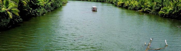 Raiatea Ausflug Bootstour, Faaroa River, Marae Taputapuatea - Fluss - Tahiti
