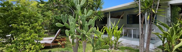 Pension Moana Breeze Eco Lodge Rangiroa - Bungalow - Tahiti