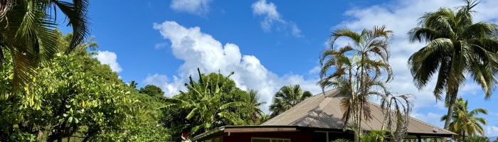 Pension Titaina Taha'a - Bungalow - Tahiti
