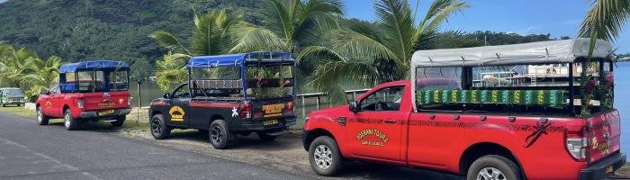 Tahaa Ausflug Geländewagensafari - Geländewagen - Tahiti