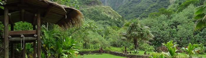 Tahiti Ausflug Geländewagensafari - Papenoo-Tal - Tahiti