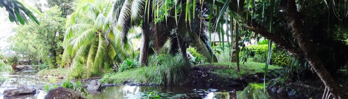 Tahiti Ausflug Museum & Island Tour - Vaipahi Garden - Tahiti