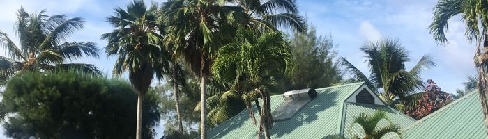 Hotel Muri Beachcomber Rarotonga - Garten - Cook Inseln
