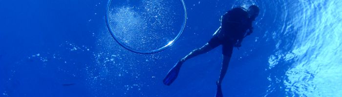 Ausflug Pacific Divers Rarotonga - Taucher - Cook Inseln