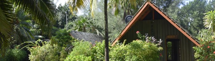 Pension Atiu Villas - Bungalow - Cook Inseln