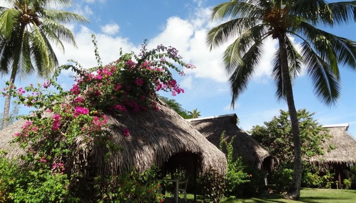 Hotel Hibiscus Moorea - Gartenbungalow - Tahiti