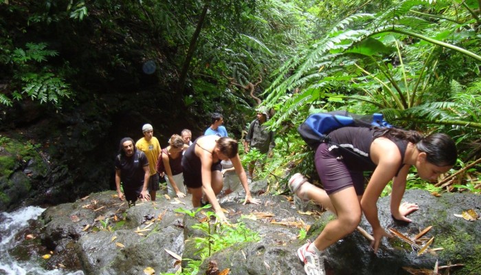 Ausflug Wanderung zu den Wasserfällen Raiatea - wandern - Tahiti