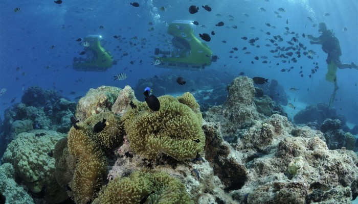 Ausflug Aquasafari Bora Bora - Scuba Dive - Tahiti