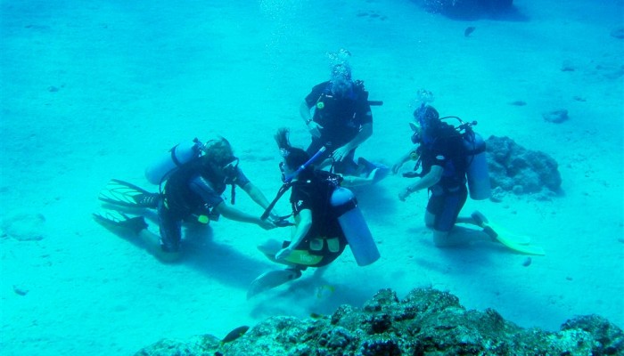 Ausflug Pacific Divers Rarotonga - Tauchgruppe - Cook Inseln