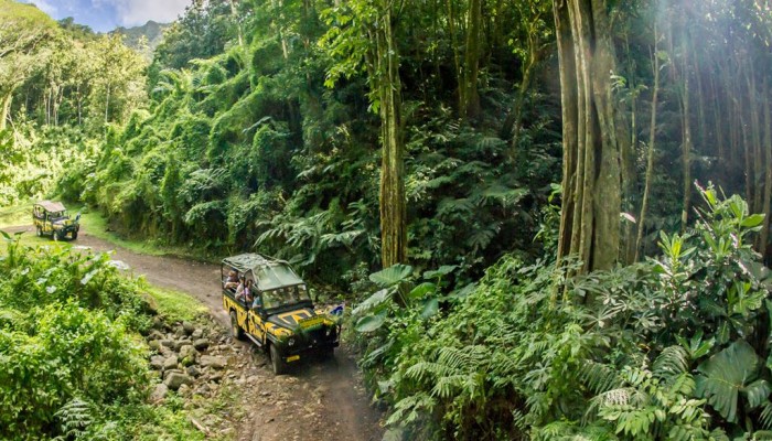 Ausflug Raro Safari Tour Rarotonga - Jeep im Regenwald - Cook Inseln
