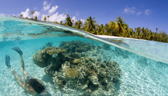 Ausflug Arii Tahaa Lagunentour - Schnorcheln - Tahiti