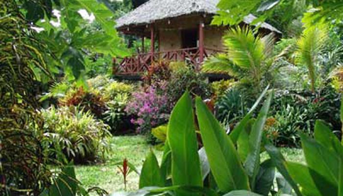Hotel Tanna Evergreen Tanna - Gartenbungalow - Vanuatu