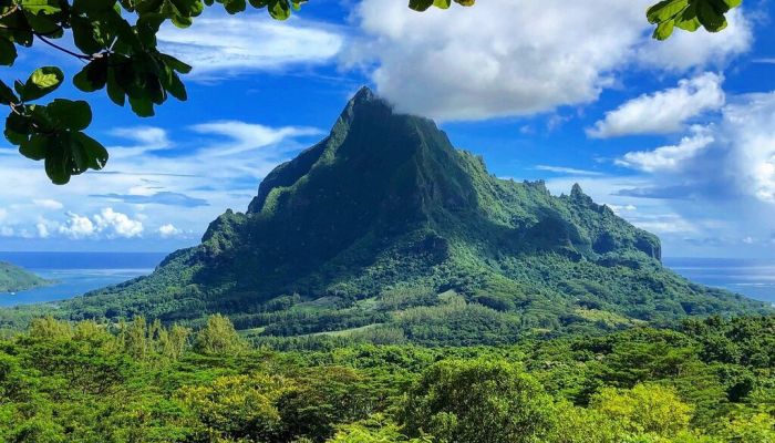 Ausflug Natur & Kultur in Moorea - Belvedere - Tahiti