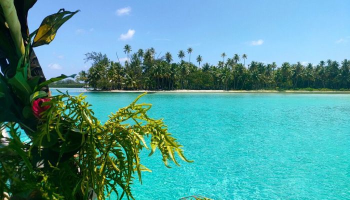 Ausflug Lagunentour mit Tanzunterricht & Motu Picknick Huahine - Lagune - Tahiti