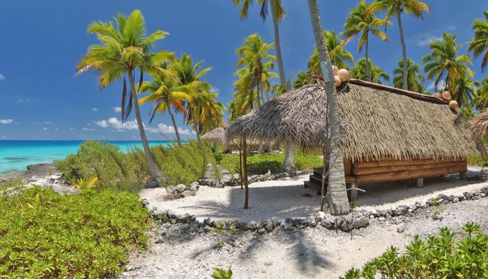 Pension Raimiti Fakarava - Bungalow - Tahiti