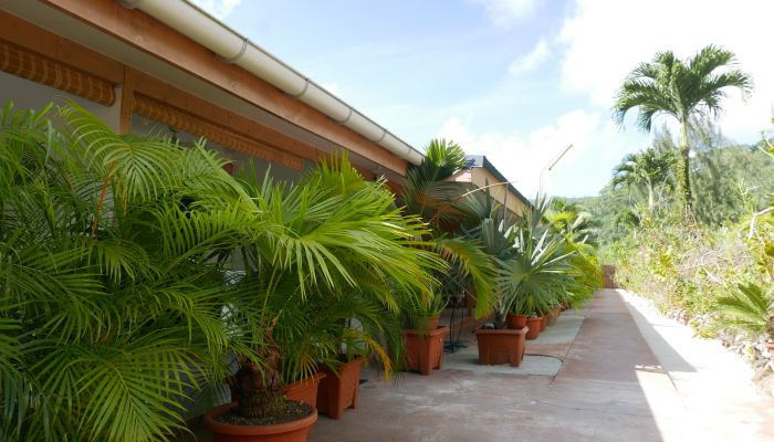Pension Fare Ara Huahine - Eingang - Tahiti