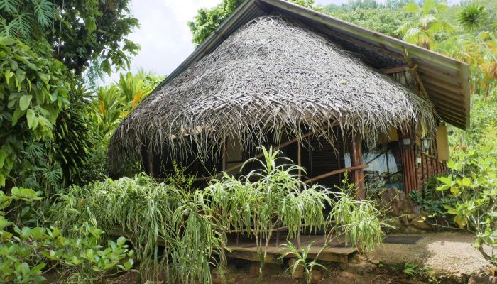 Pension Tupuna Huahine - Bungalow - Tahiti
