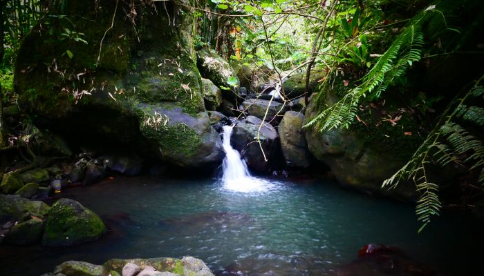 Moorea Ausflug - Wasserfall von Afareaitu - Tahiti