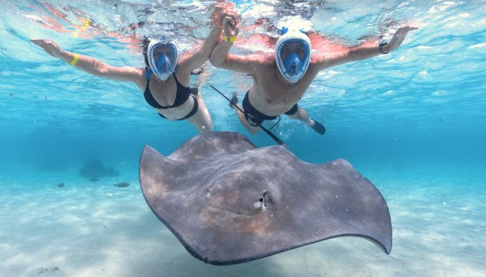 Moorea Ausflug Lagune mit Motu Picknick - Stachelrochen - Tahiti