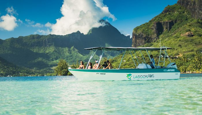 Moorea Ausflug Walbeobachtung - Boot - Tahiti